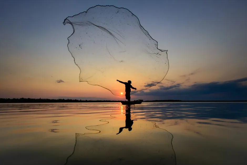 How to Catch Carp: A Complete Beginner's Guide (UK)